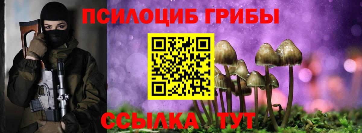 Псилоцибиновые грибы GOLDEN TEACHER Челябинск